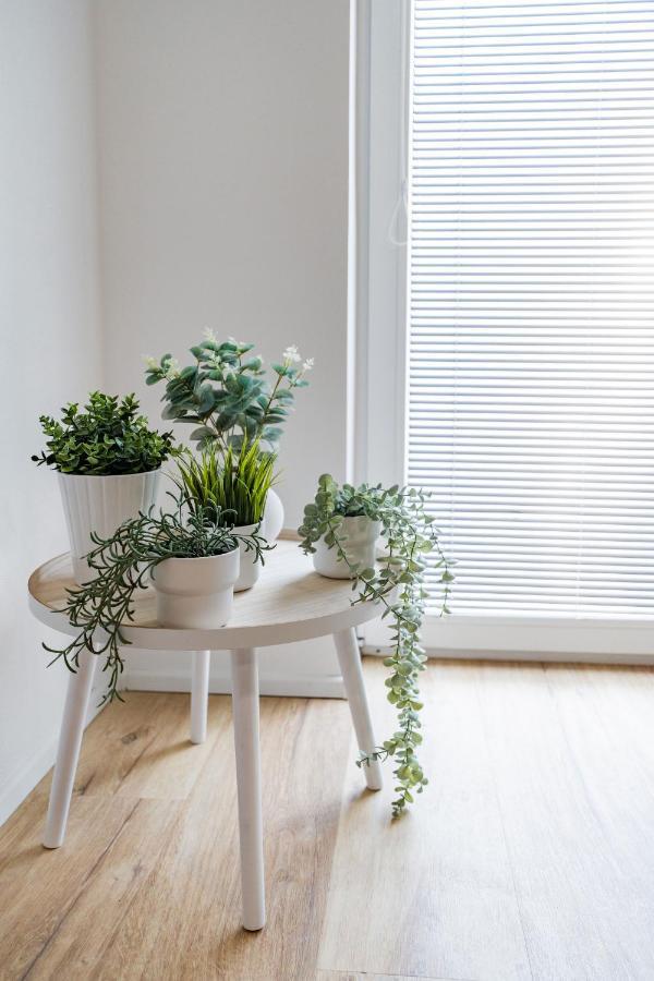 Wolkerovka Apartment 2 올로모우츠 외부 사진